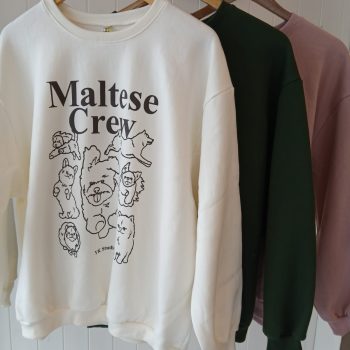 BUZO CUELLO BASICO ALG